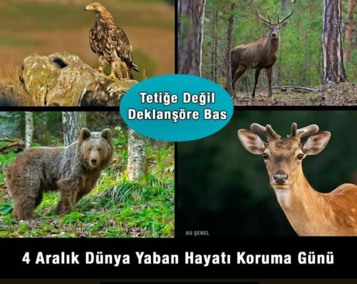 BANDAK’tan açıklama “Tetiğe değil, deklanşöre bas!”