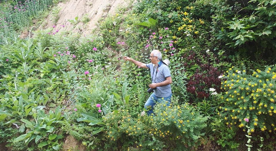 Kapıdağ’ın florası kitaplaşacak