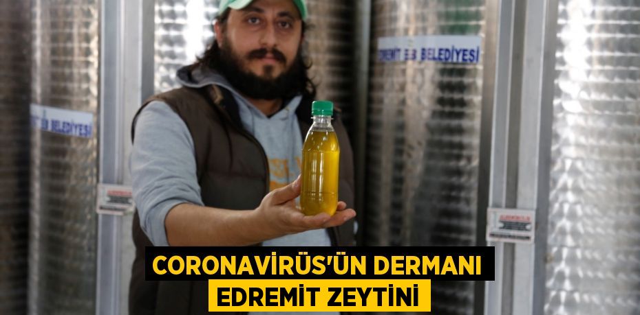 CORONAVİRÜS’ÜN DERMANI EDREMİT ZEYTİNİ