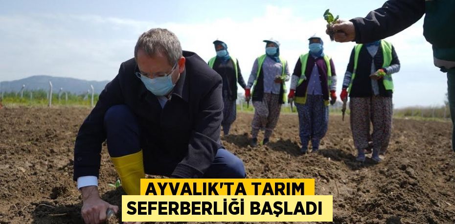 AYVALIK'TA TARIM SEFERBERLİĞİ BAŞLADI