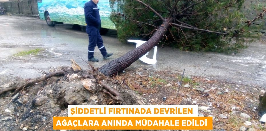 ŞİDDETLİ FIRTINADA DEVRİLEN AĞAÇLARA ANINDA MÜDAHALE EDİLDİ