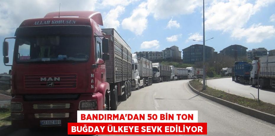 Bandırma’dan 50 bin ton buğday ülkeye sevk ediliyor