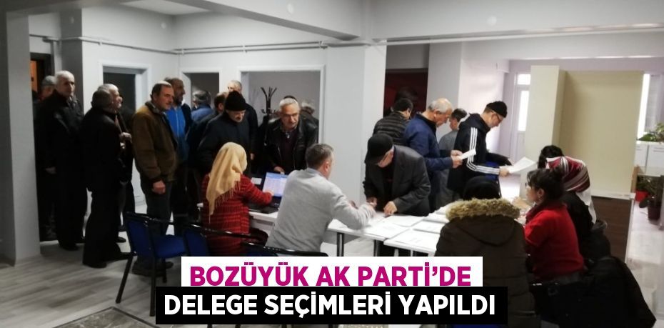 BOZÜYÜK AK PARTİ’DE DELEGE SEÇİMLERİ YAPILDI