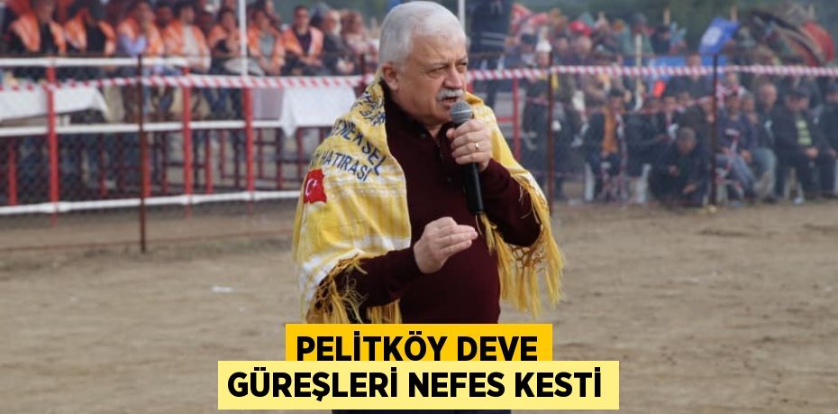 PELİTKÖY DEVE GÜREŞLERİ NEFES KESTİ