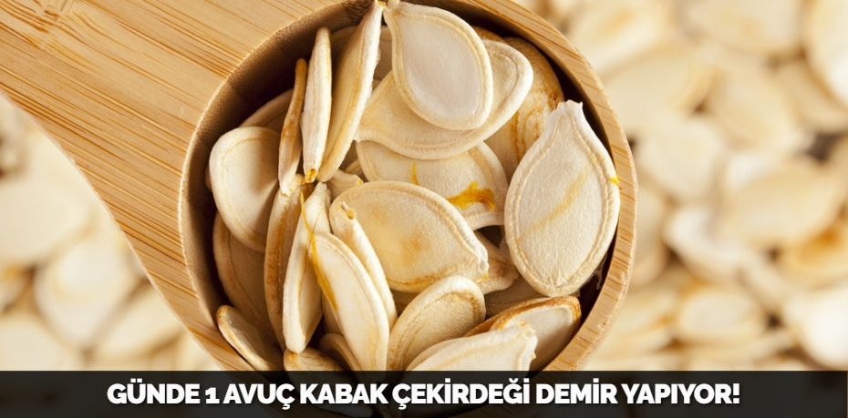 GÜNDE 1 AVUÇ KABAK ÇEKİRDEĞİ DEMİR YAPIYOR!