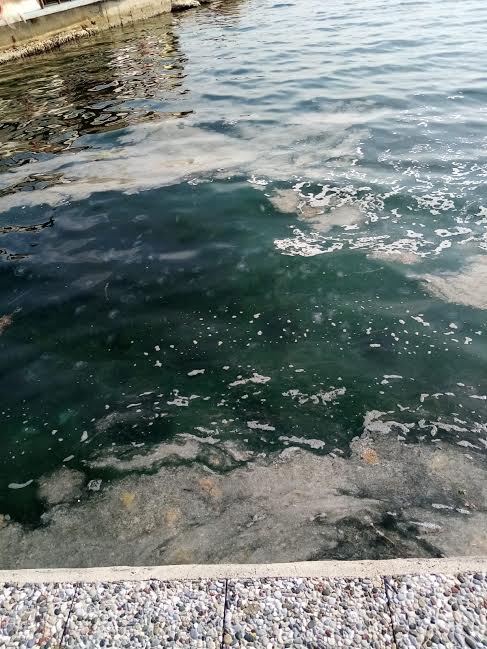 “MARMARA DENİZİ ÖLÜYOR,AĞLAYANI YOK!”