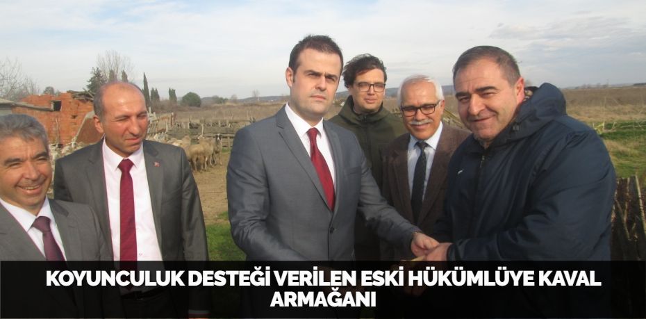 KOYUNCULUK DESTEĞİ VERİLEN ESKİ HÜKÜMLÜYE KAVAL ARMAĞANI