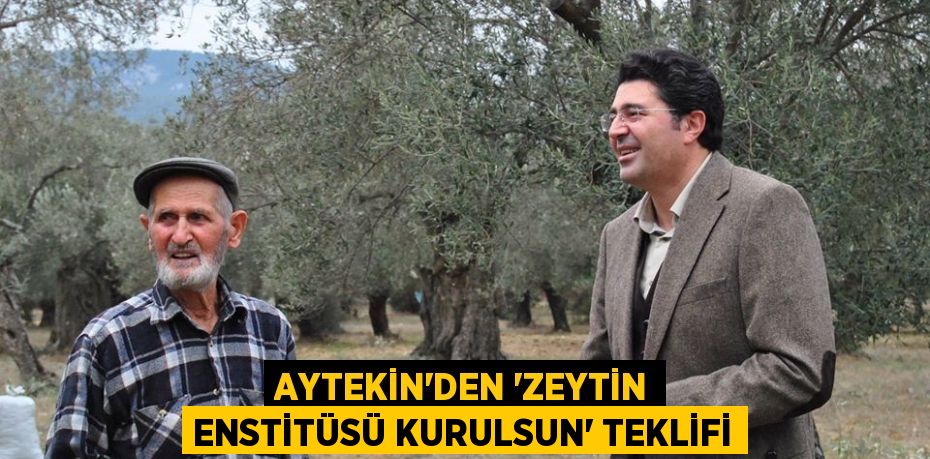 AYTEKİN’DEN “ZEYTİN ENSTİTÜSÜ KURULSUN” TEKLİFİ
