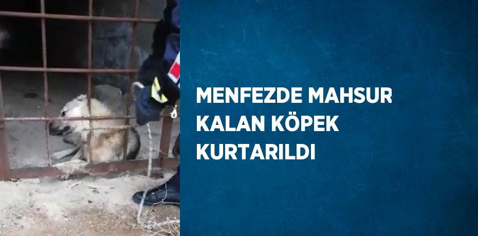 MENFEZDE MAHSUR KALAN KÖPEK KURTARILDI