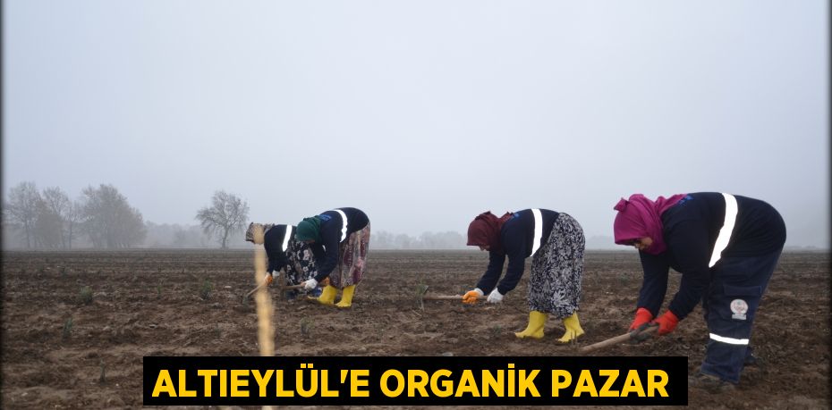 ALTIEYLÜL'E ORGANİK PAZAR