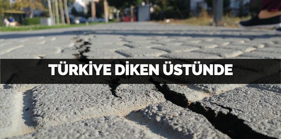 TÜRKİYE DİKEN ÜSTÜNDE