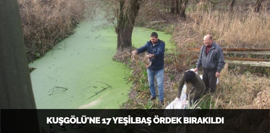 KUŞGÖLÜ'NE 17 YEŞİLBAŞ ÖRDEK BIRAKILDI
