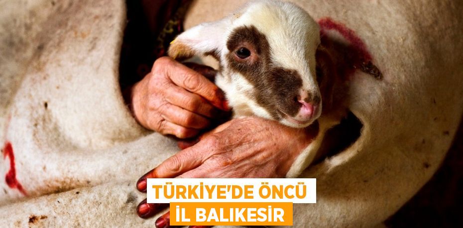TÜRKİYE'DE ÖNCÜ İL BALIKESİR