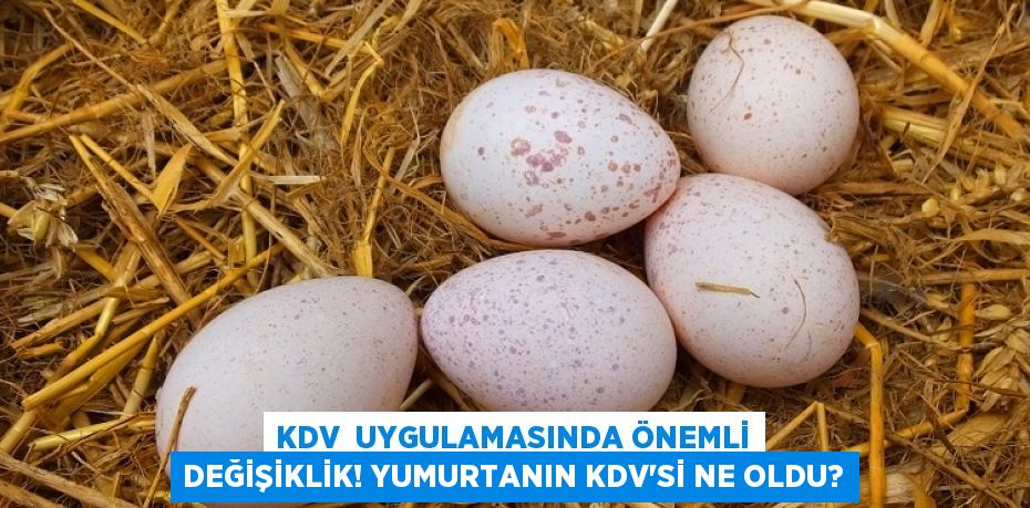 KDV uygulamasında önemli değişiklik! Yumurtanın KDV’si ne oldu?