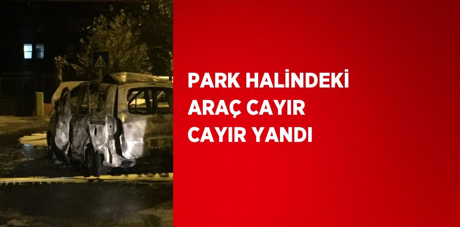 PARK HALİNDEKİ ARAÇ CAYIR CAYIR YANDI