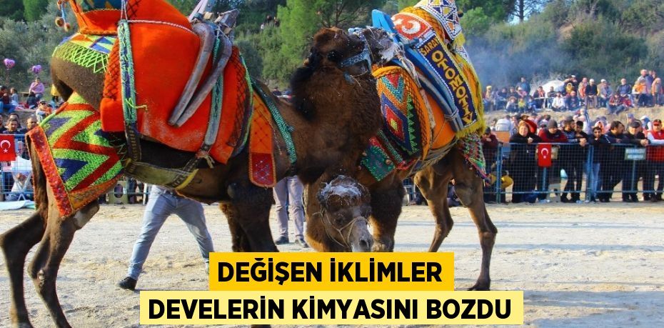 DEĞİŞEN İKLİMLER DEVELERİN KİMYASINI BOZDU