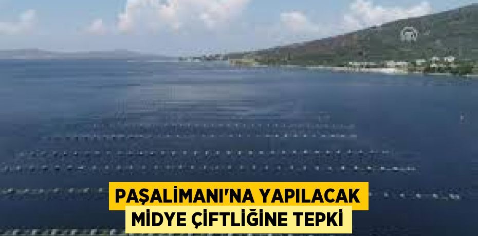 Paşalimanı’na yapılacak midye çiftliğine tepki