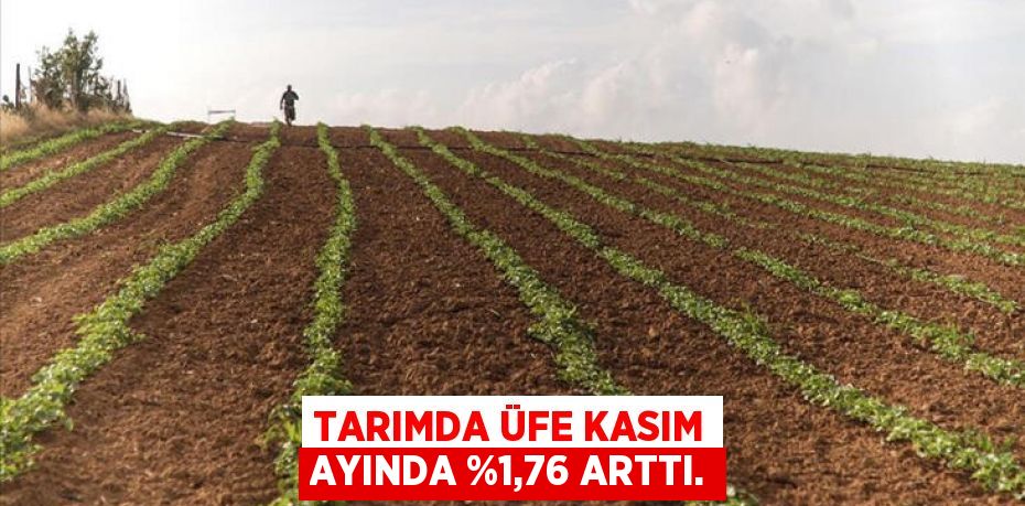 Tarımda ÜFE Kasım ayında %1,76 arttı.