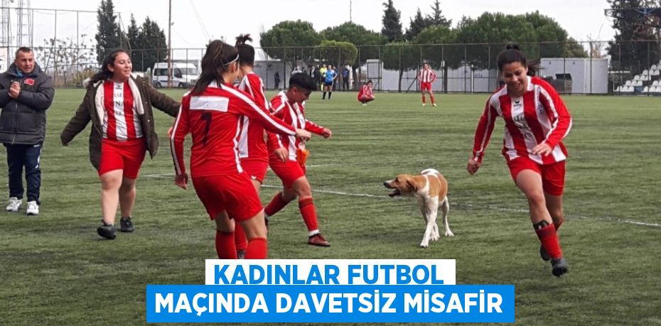 KADINLAR FUTBOL MAÇINDA DAVETSİZ MİSAFİR