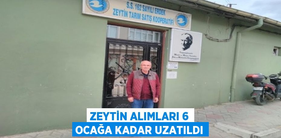 Zeytin alımları 6 Ocağa kadar uzatıldı