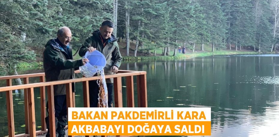 BAKAN PAKDEMİRLİ KARA AKBABAYI DOĞAYA SALDI