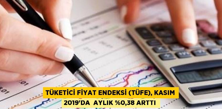 Tüketici Fiyat Endeksi (TÜFE), Kasım 2019'da  aylık %0,38 arttı