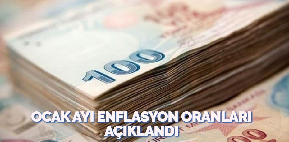 OCAK AYI ENFLASYON ORANLARI AÇIKLANDI