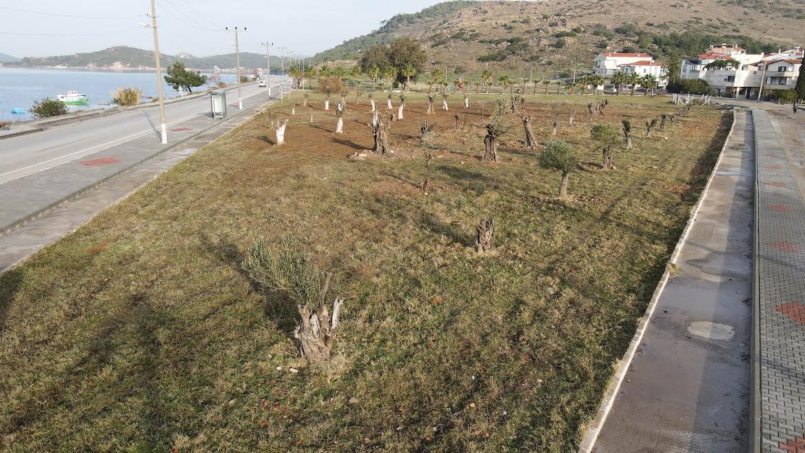 Bakımevi’nin temel kazısından çıkan ağaçlar, yaşam alanlarında değerlendiriliyor