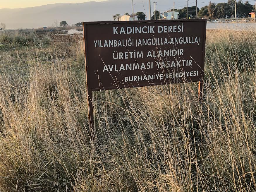 SULAK ALANLAR RANT KAPISI MI ?