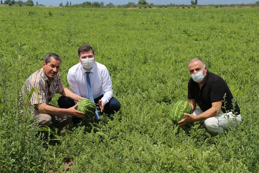 ADANA DEĞİL EDREMİT   