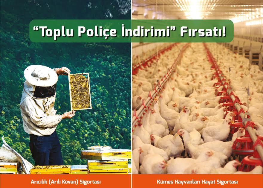 ARI YETİŞTİRİCİLERİ VE KANATLI HAYVAN ÜRETİCİLERİNE 'TOPLU POLİÇE İNDİRİMİ' FIRSATI