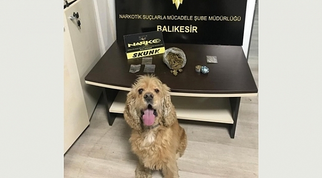 Narkotik köpeği Bath'a alkış!