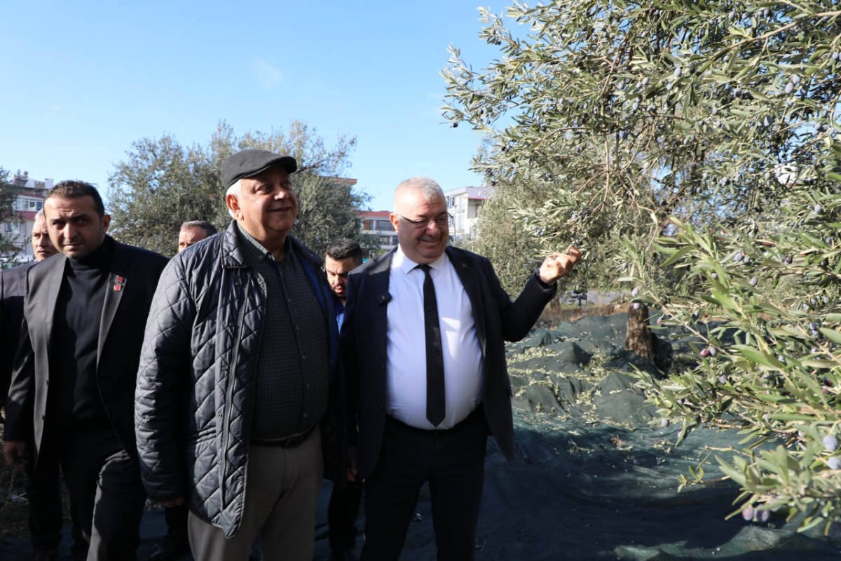 Tek bir zeytin tanesi bile heba edilmiyor